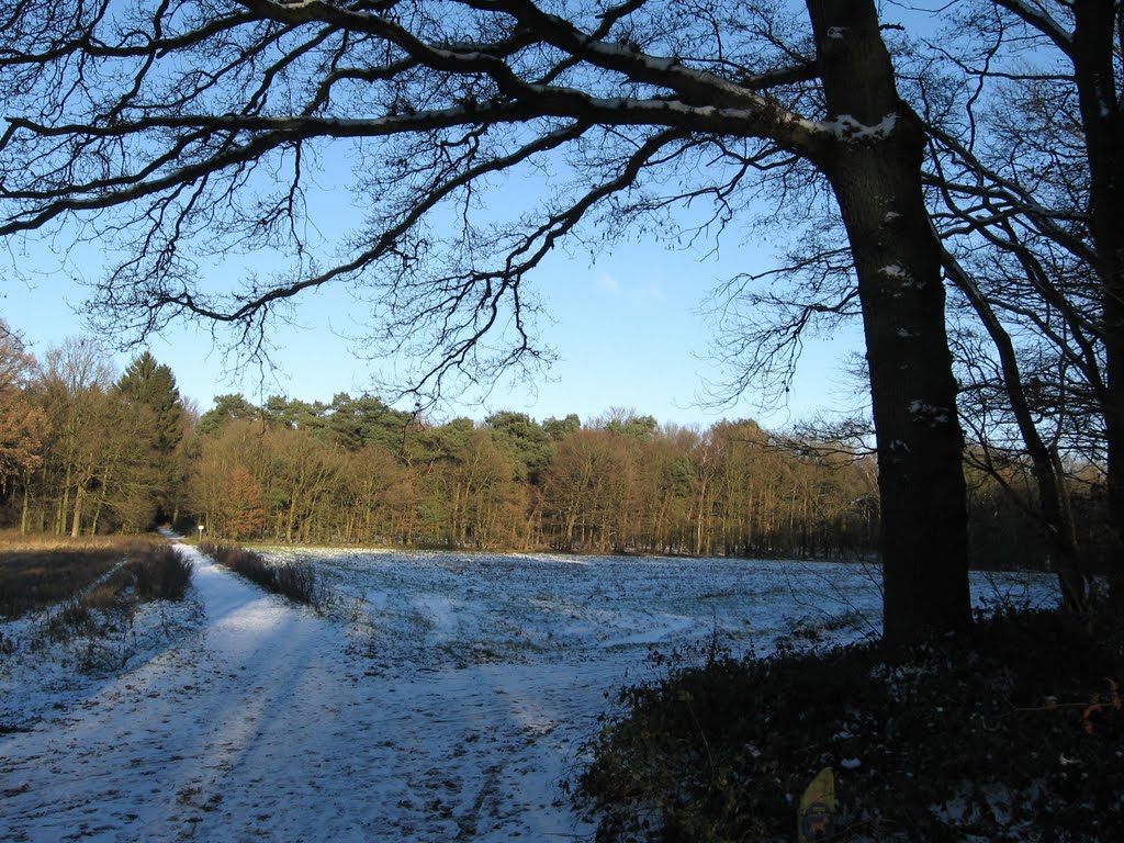 Plakslag richting 's-Heerenberg by Jos Notten