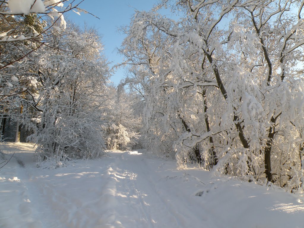 Slupsk, Poland by pawelec1953