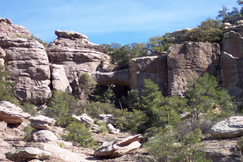 Chiricahua Mts by Ryan78