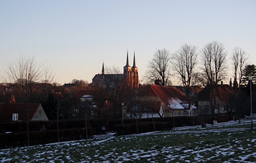 Roskilde Cathedral seen from Sct. Jørgensbjerg by Benjamin Buemann