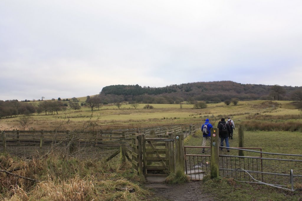 Path to Nab Hill by Tony Oldfield