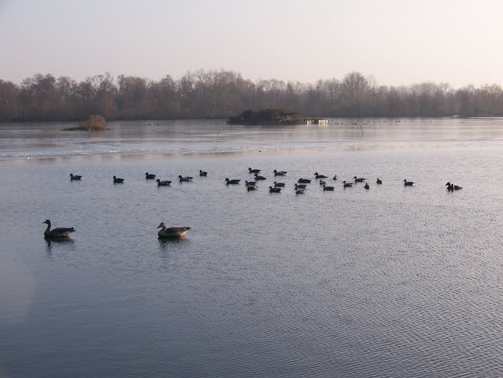 Etangs de Longpré pris dans la glace by Christophe LACROIX