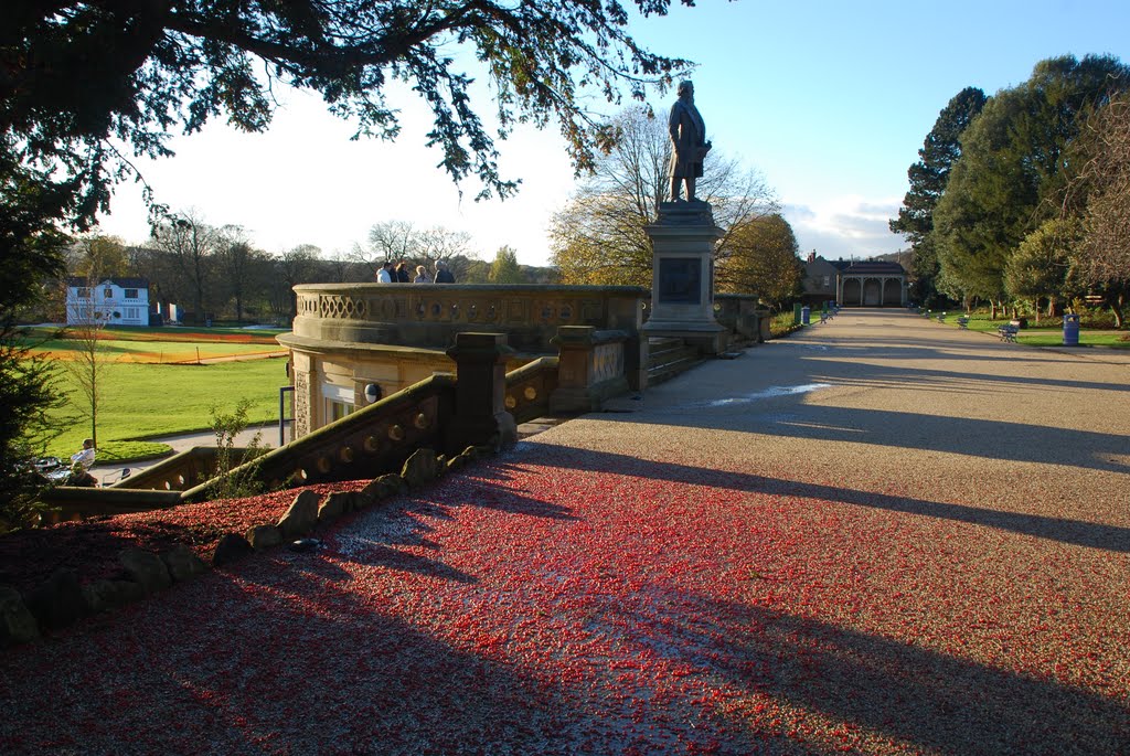 Robert's Park Saltaire by suenaylor