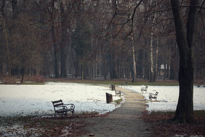 Maksimir 2 by Patak