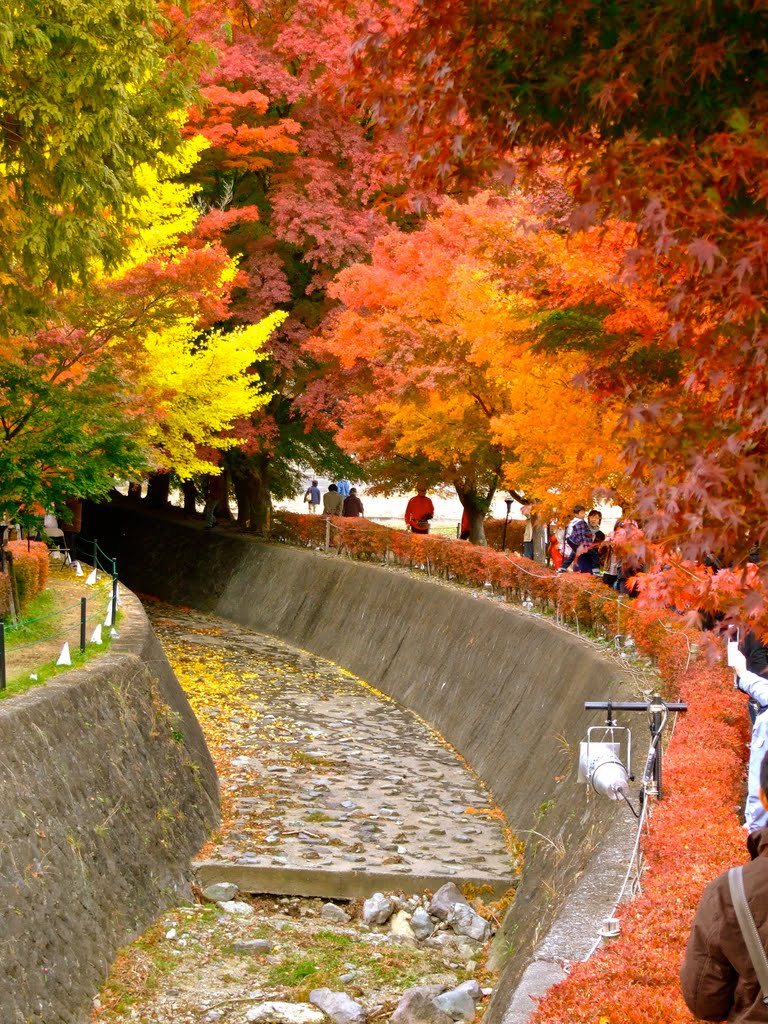 Momiji Canal by Chouden Boy