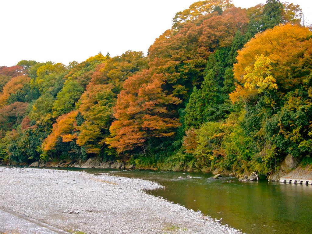 Aki River Near Musashi-Itsukaichi by Chouden Boy