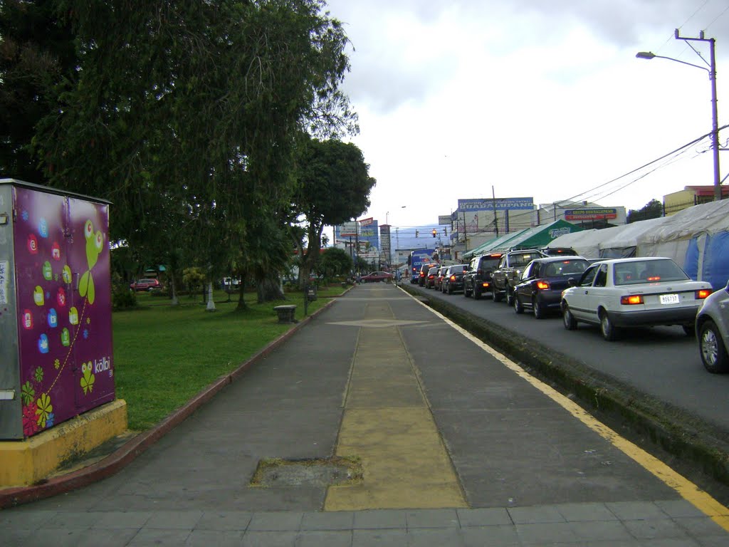 VISTA HACIA EL NORTE DESDE EL COSTADO ESTE DEL PARQUE DE GUADALUPE by LUIS PALMA