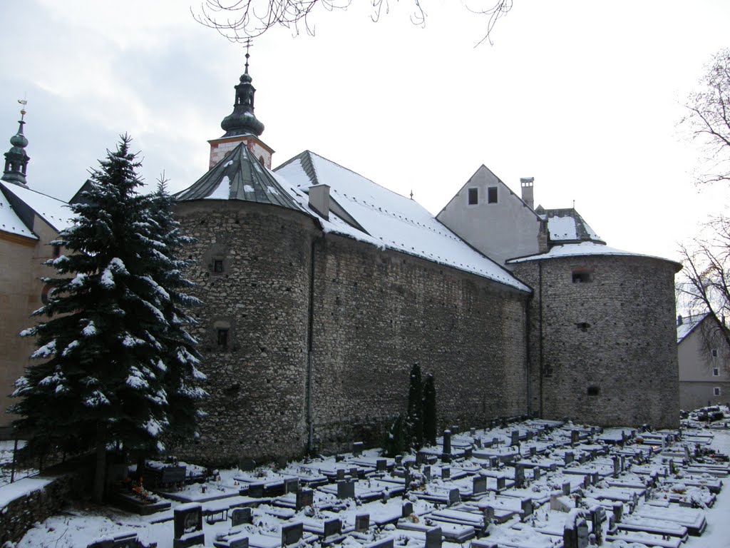 Banská Bystrica, Banskobystrický hrad by X-01