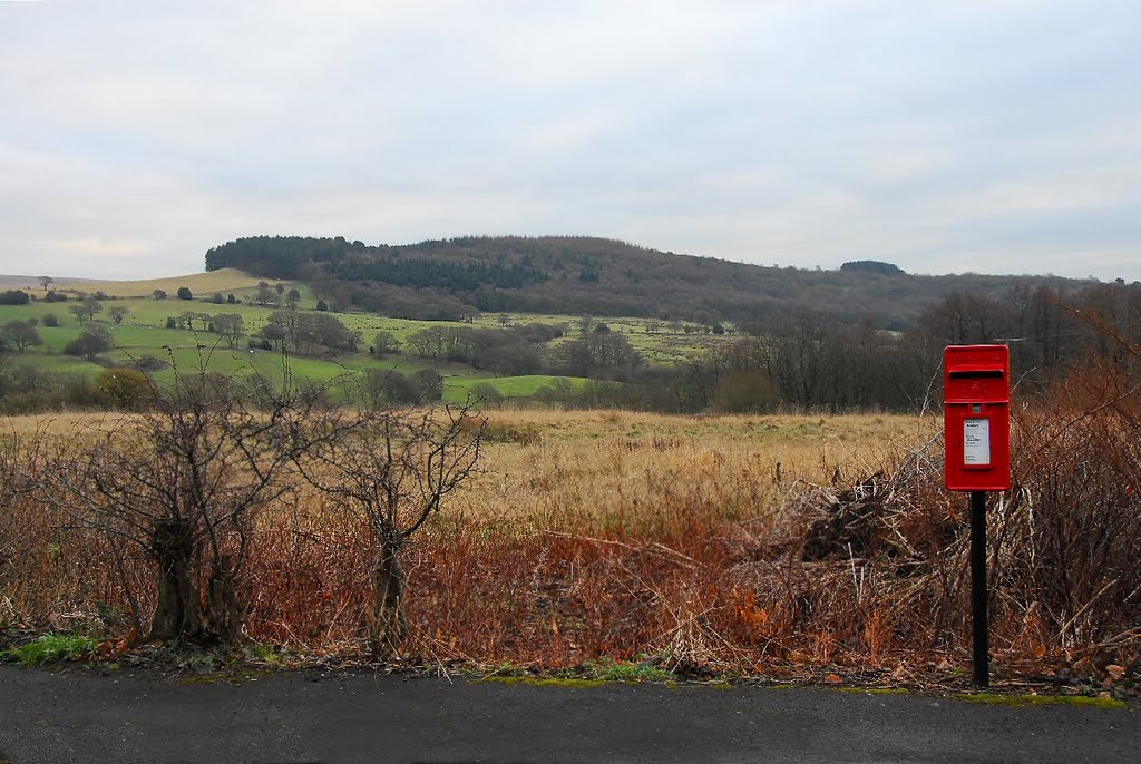 Healey Nab by David Humphreys