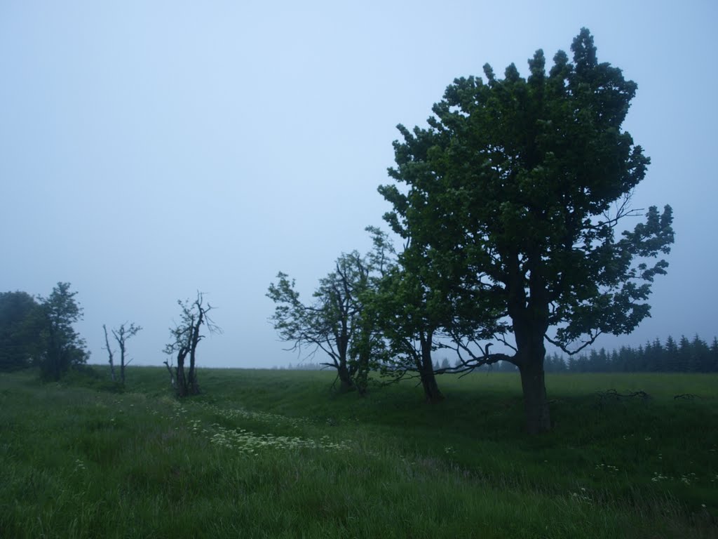 Na, wann sehe ich durch den Nebel St. Sebastiansberg ? ! by ReinhardKlenke