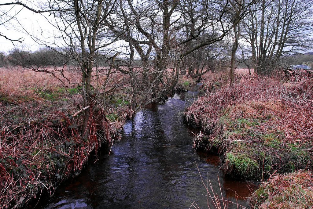 Black Brook by David Humphreys