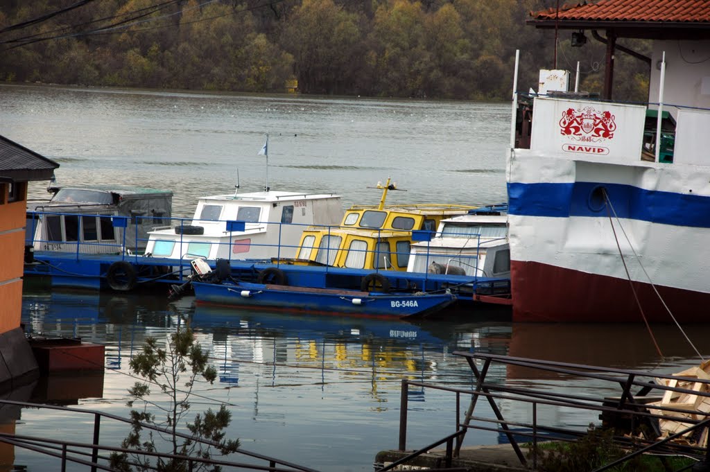 Camci na Dunavu - Marina 4 Juli Zemun by Teča sa Dunava