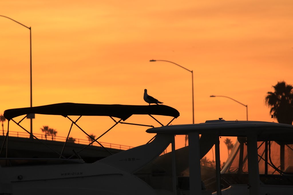 Newport Beach, CA, USA by Chad Rutan