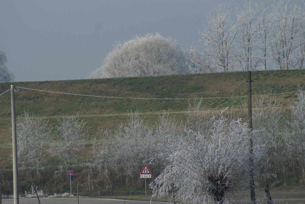 C_&_M passeggiando con ... I colori dell'inverno in Pianura Padana by Domenico-Mimmo