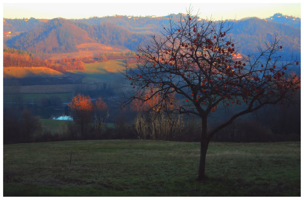 Panorama invernale by Fabrizio Carpignano