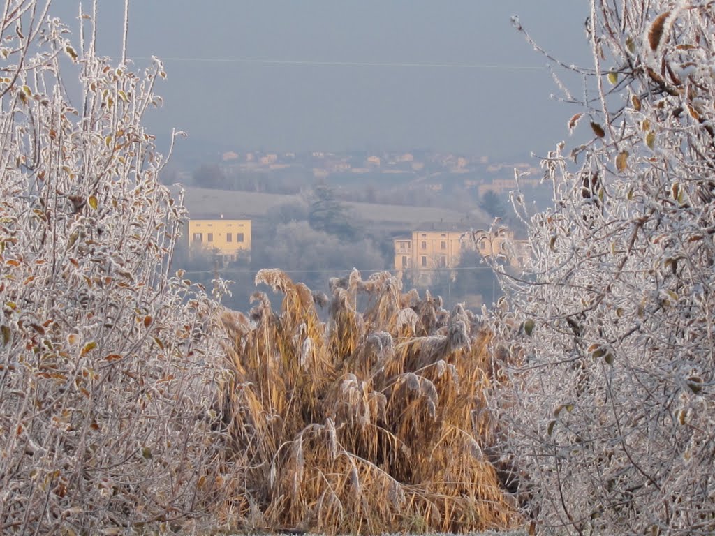 Via Monte Rocca - strada bagni - dalla campagna imbiancata di brina by Dino Danieli