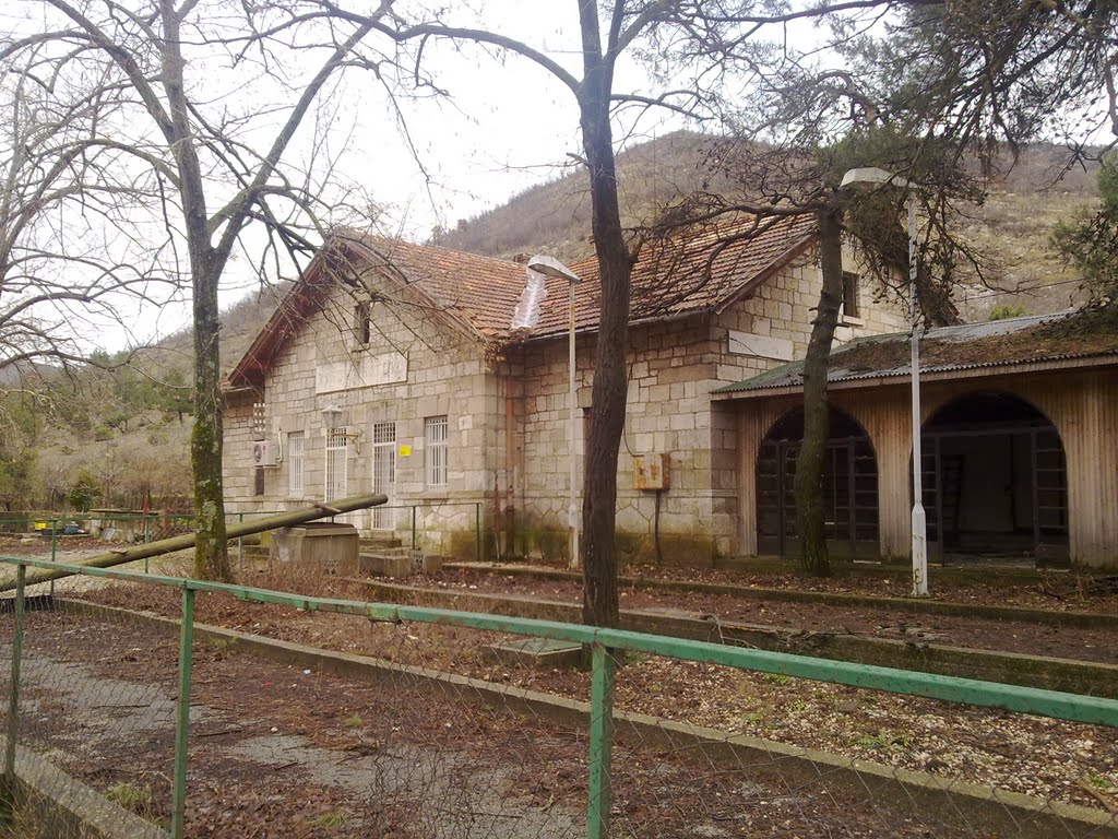 Hutovo zelj. stanica 2010. / Railway station Hutovo 2010. by agava-neum.com