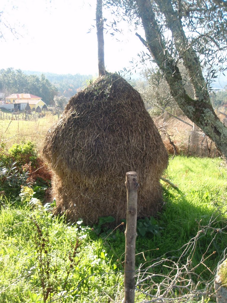 Meda by Eladio Cortizo