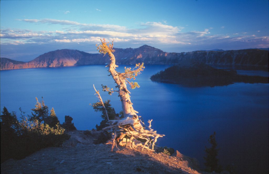 Crater Lake (USA) by Thomas Alberer