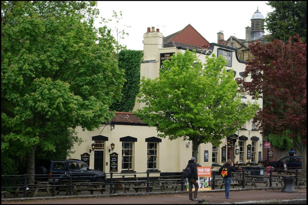 Ostrich Inn by narborne