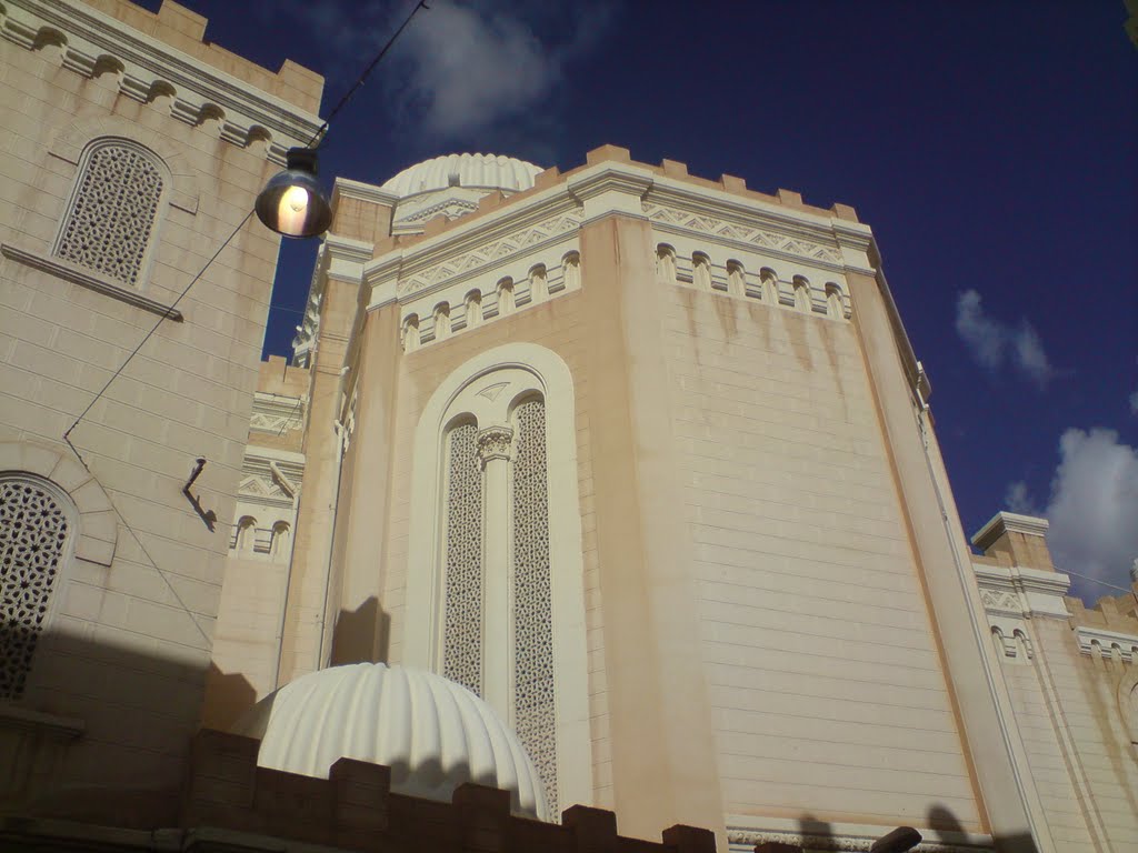 مسجد جمال عبد الناصر من الجهة الجنوبية Gamal Abdel Nasser mosque from the south by م . حاتم بسيس