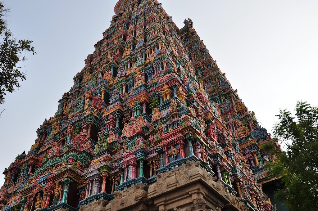 Meenakshi Sundareswarar Temple. Madurai, India. by Nicola e Pina India …