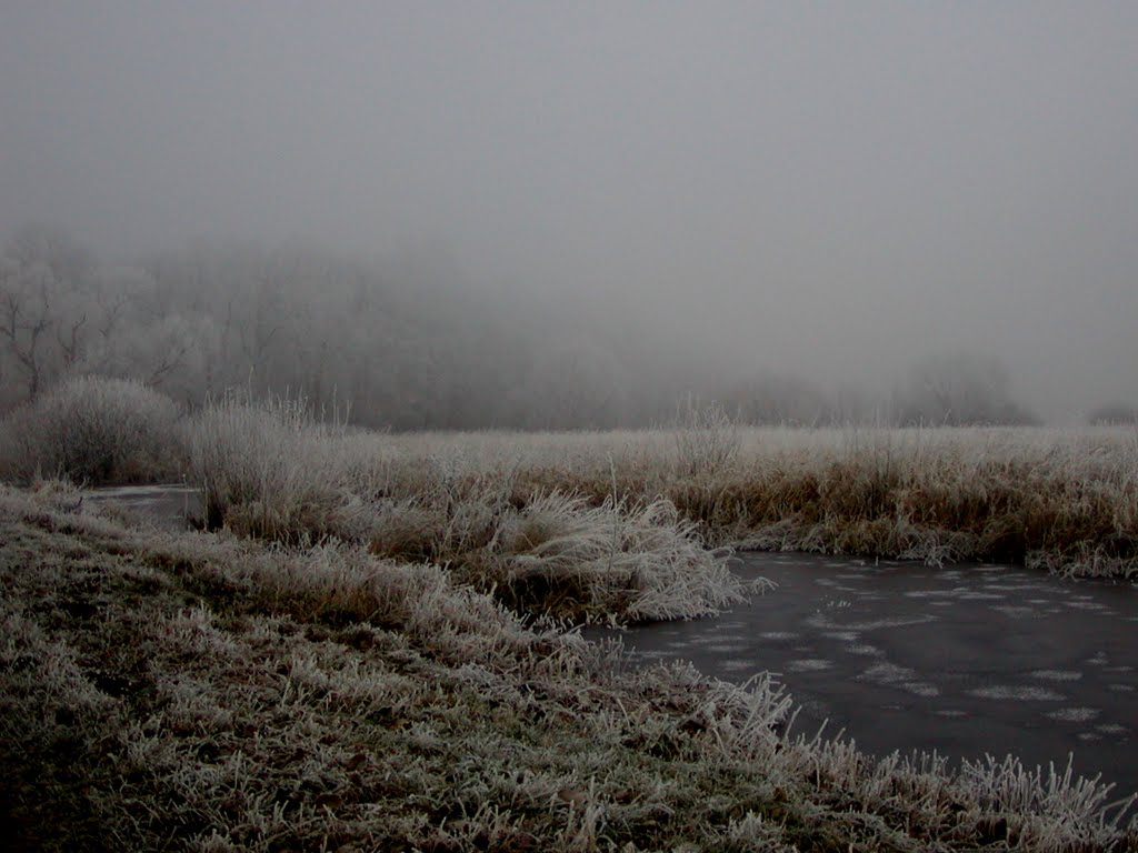 Alles hat ein silbernes Kleid bekommen by Barbara Wenzel-Winter