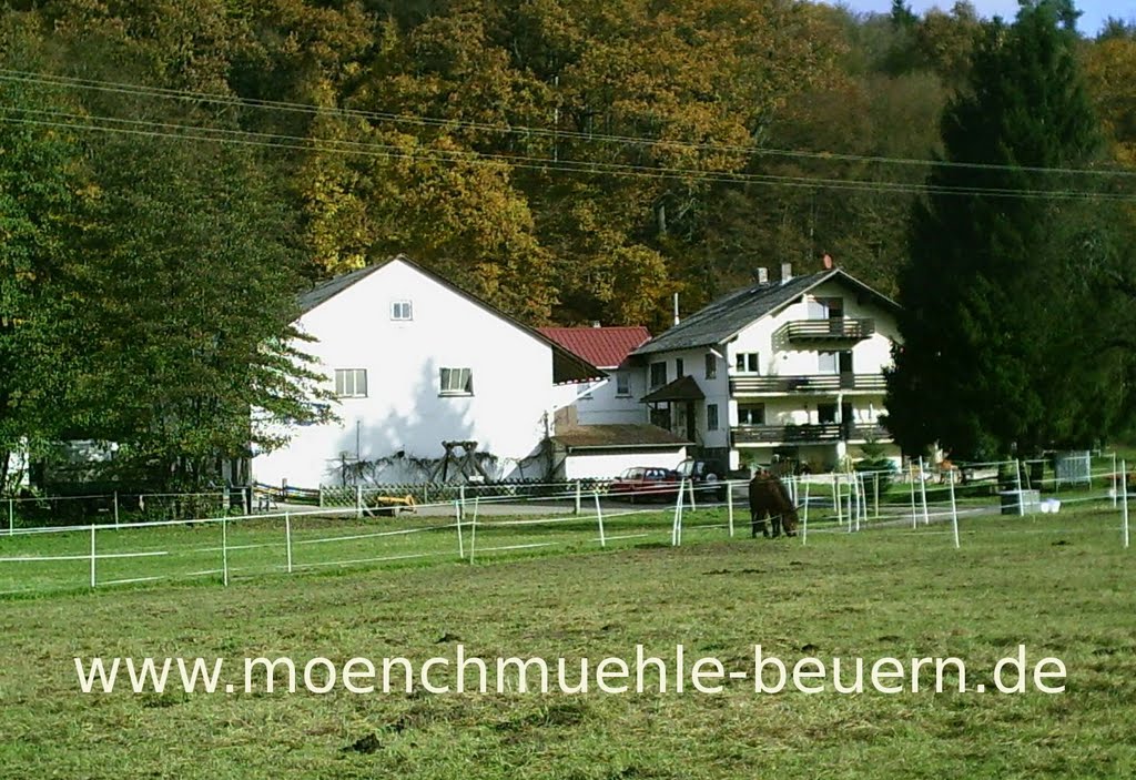 Die Mönchmühle in Beuern by moench