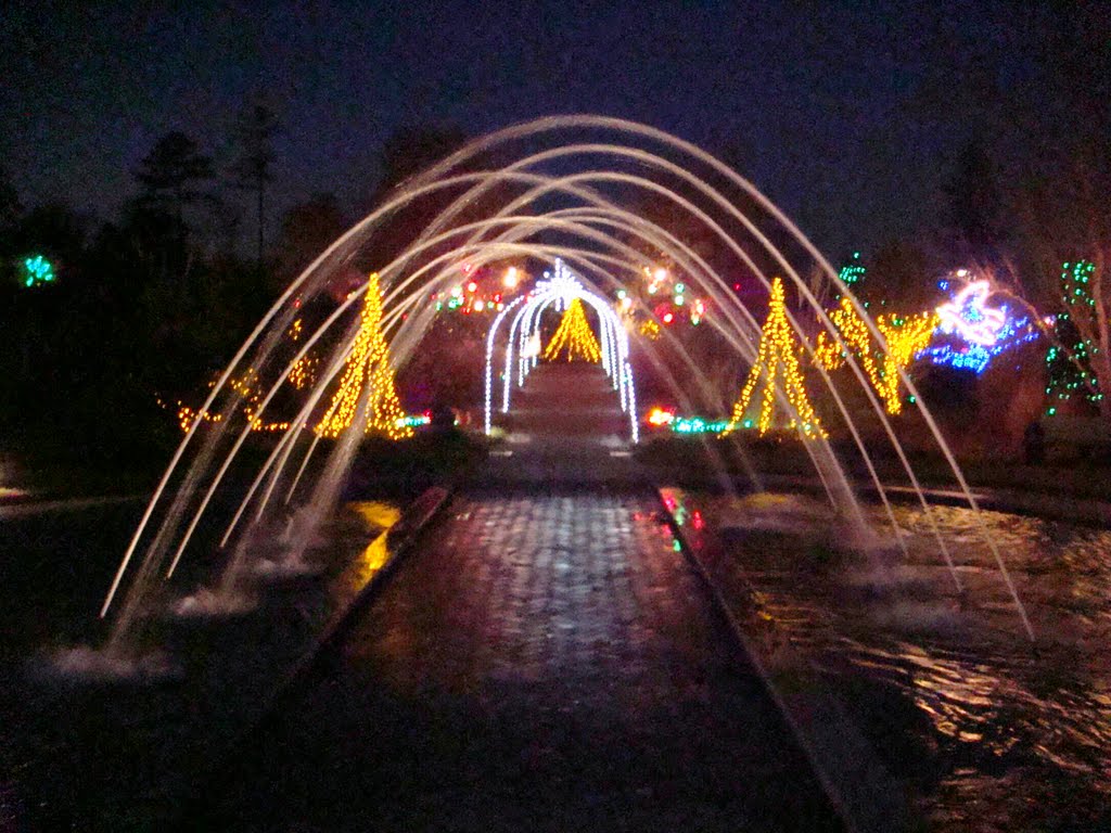 Water Fountain at DSBG by Guysplace