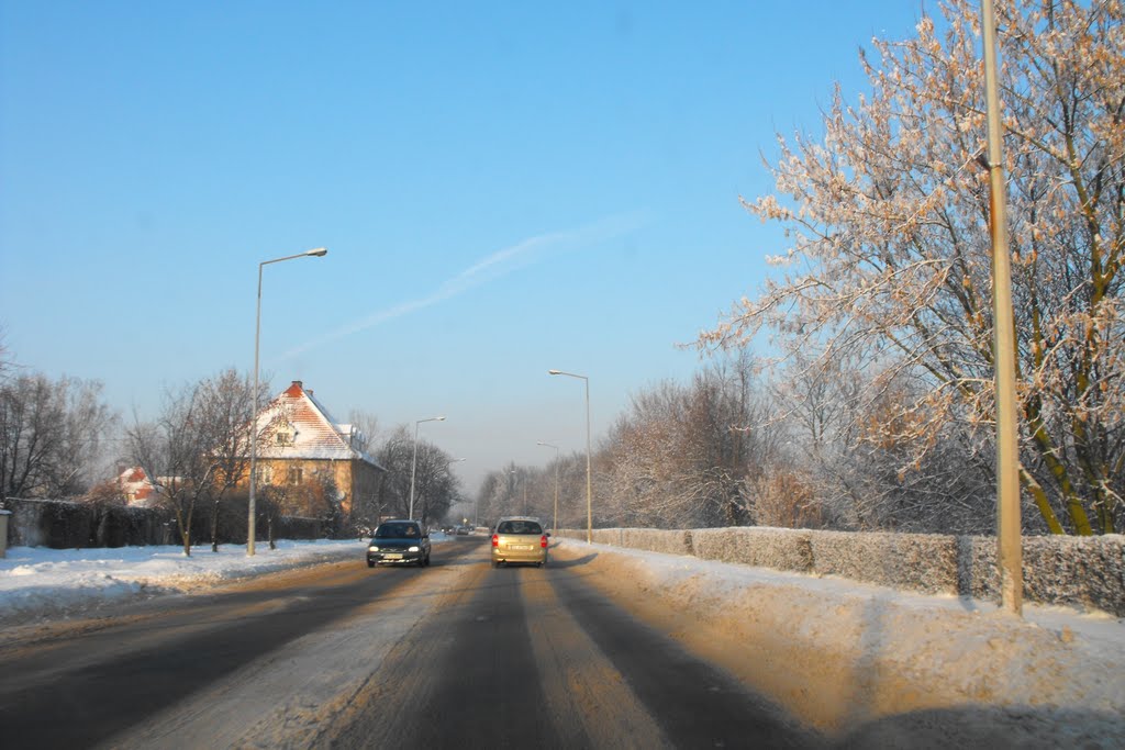 Legnica - 16-12-2010 temp -15C by Daniel_Foto