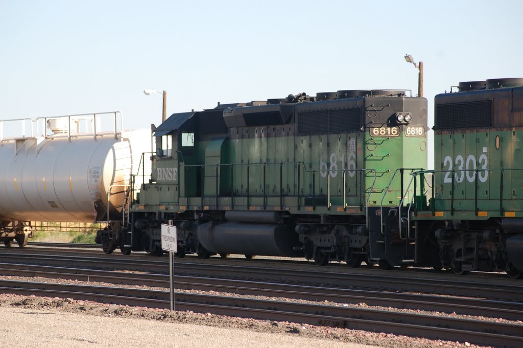 Burlington Northern Santa Fe Railway Locomotive No. 6816 at Shelby, MT by Scotch Canadian