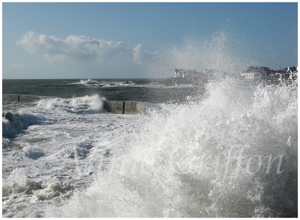 Batz sur mer by Annie Griffon