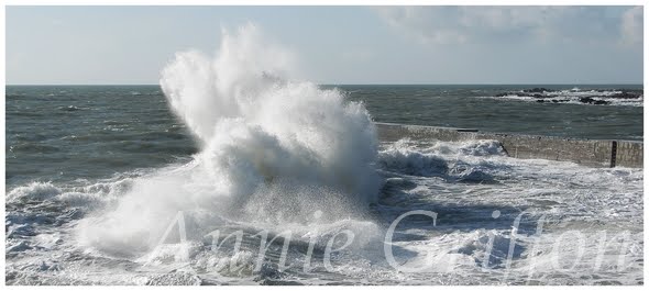 Batz sur mer by Annie Griffon