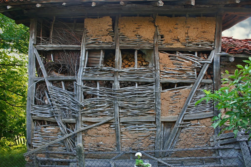 Painting of wood and mud by alexander sertev