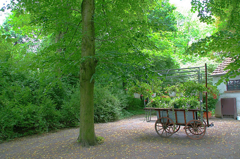 Idyll im Park by Andreas B. OTTE