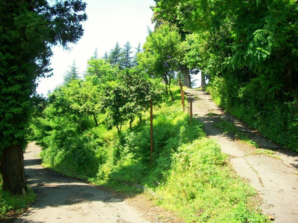 Way to Green Cape and Makhinjauri by Pogromca Gašnič