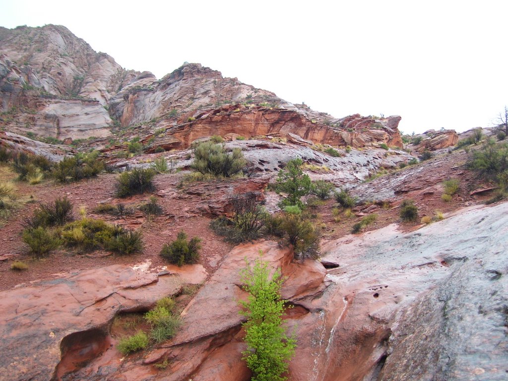 Red Cliffs Storm by Ruth Jensen