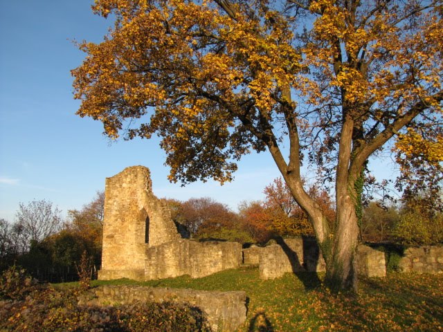 Mecseknádasd, 7695 Hungary by Hámor