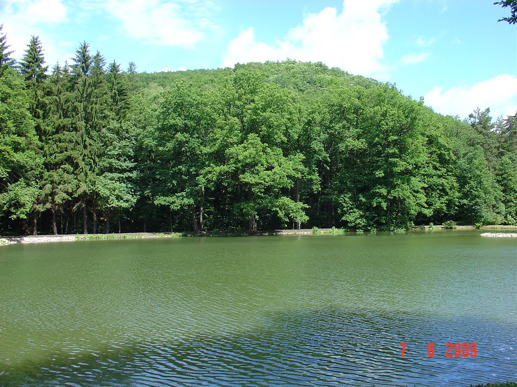 Koupaliště pod hornekem by šmukin