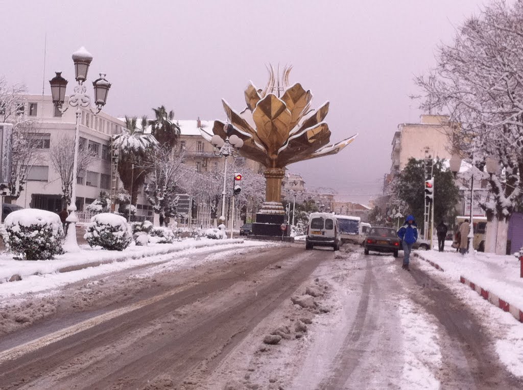 Fleure de lotus symbole de la ville de setif sous la neige 3 by ABDERRAHIM BELAKRI