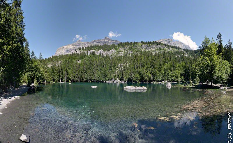 Le Lac Vert d'un coup d'oeil by grux