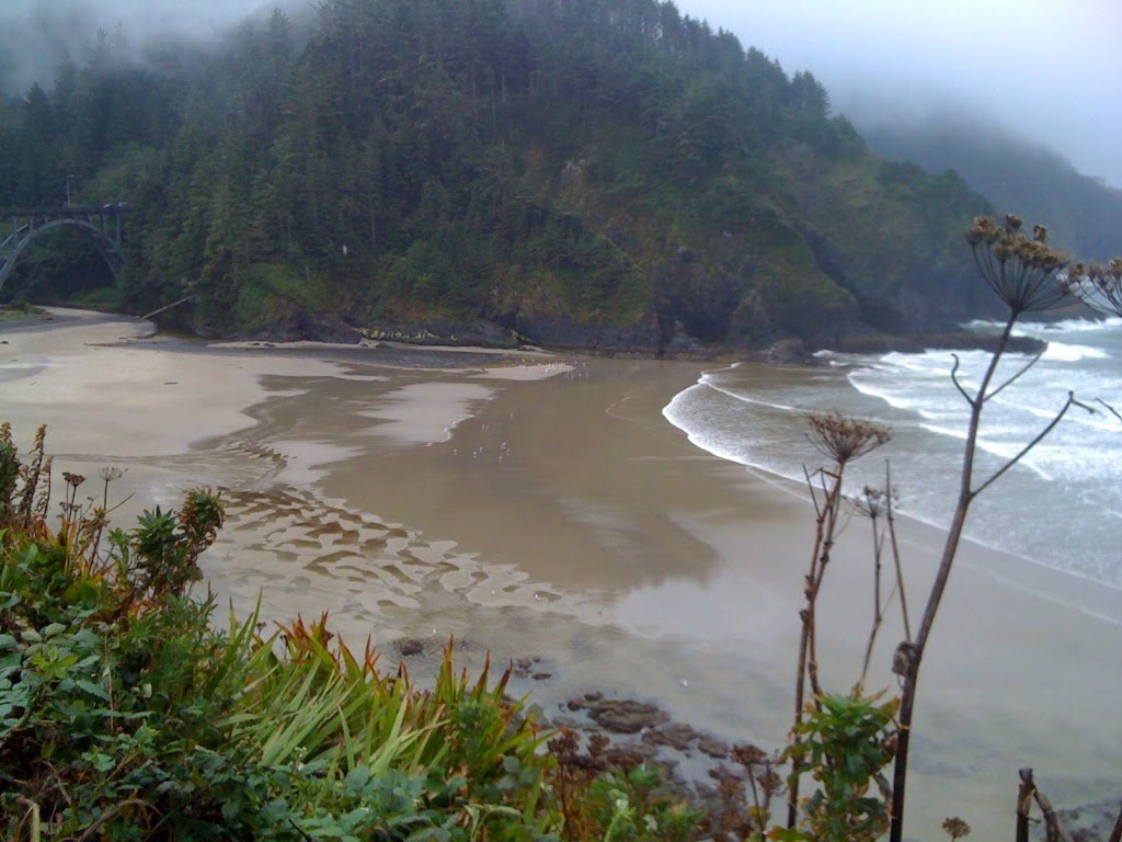 Beach and Cape Creek Bridge Heceta Head by Bryan Olson - Portland Oregon