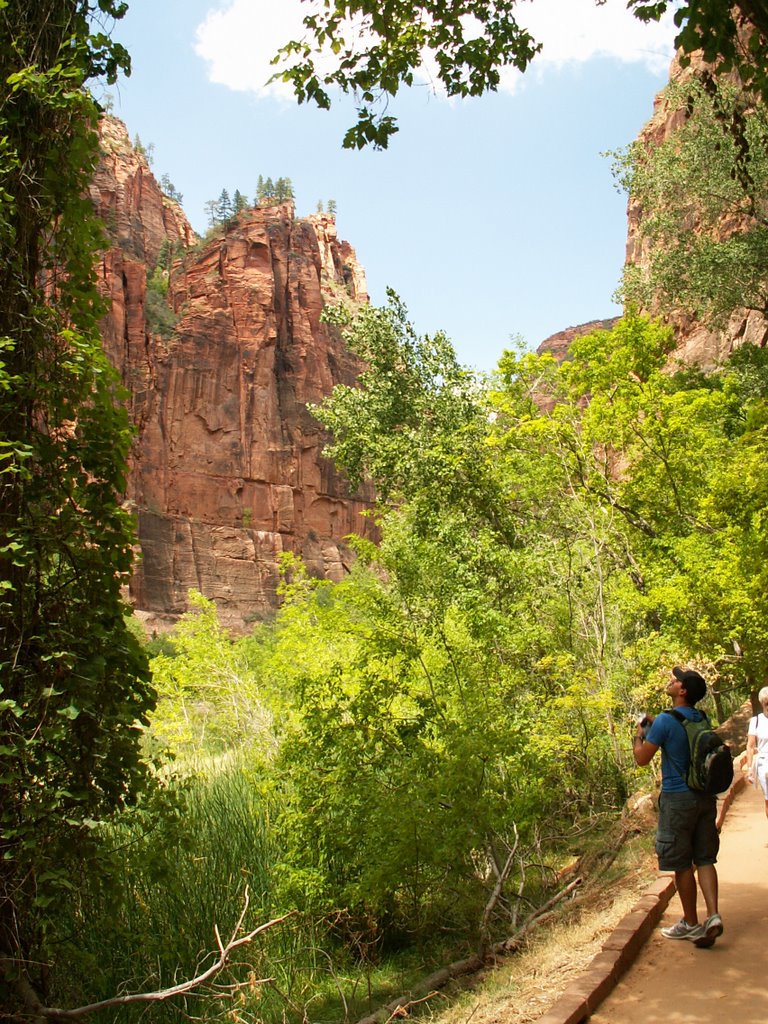 A Green Canyon by Dana Jensen