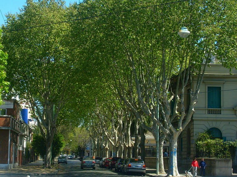 AVENIDA ABRAHAM LINCOLN by LichuKnzpt