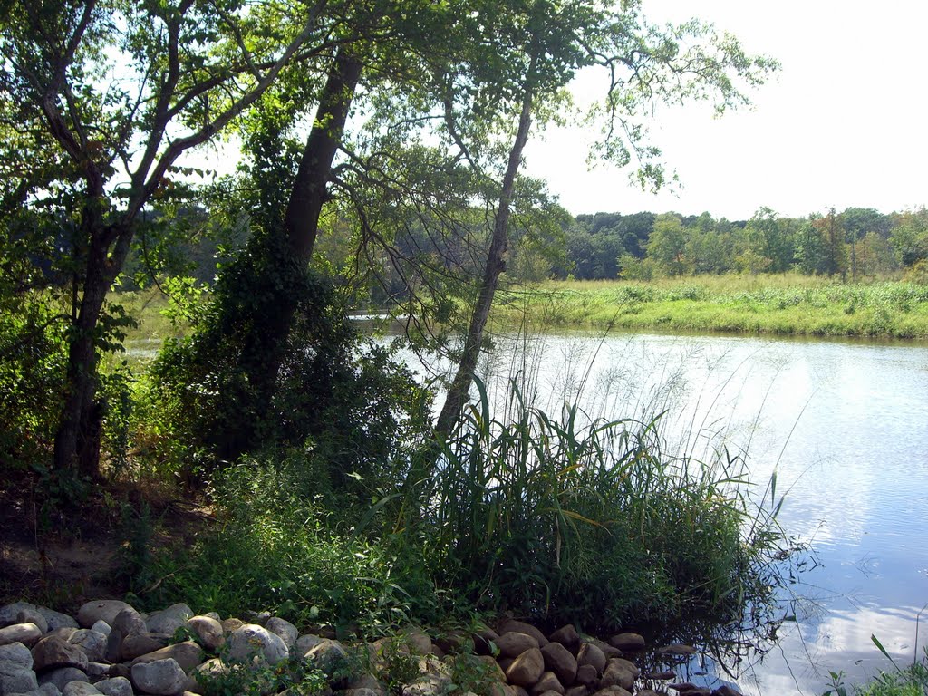 Long Bridge Park by Cleo McCall