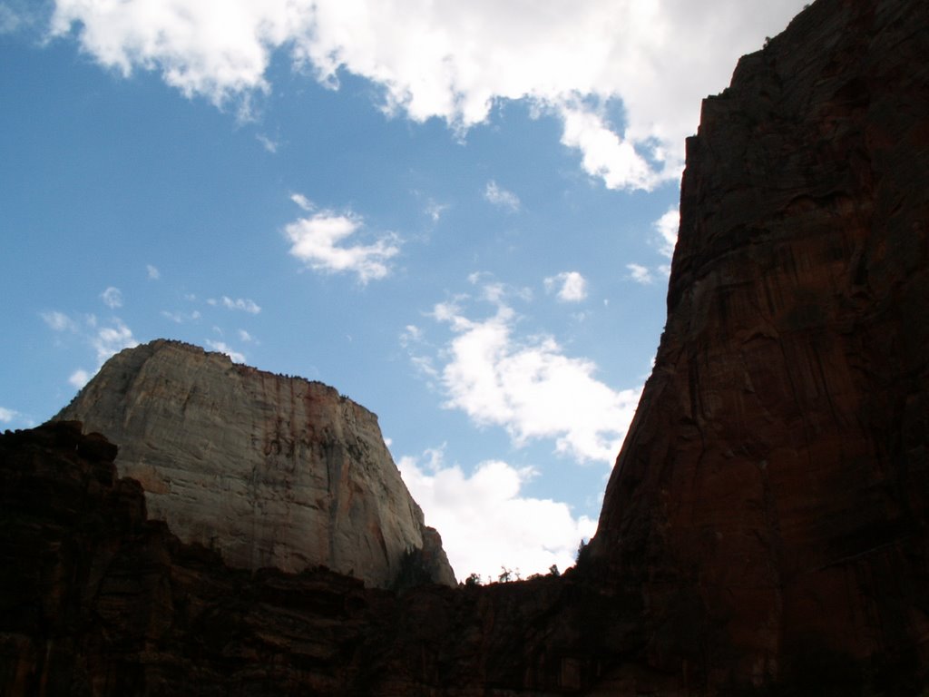 Great White Throne and Angels Landing by Dana Jensen