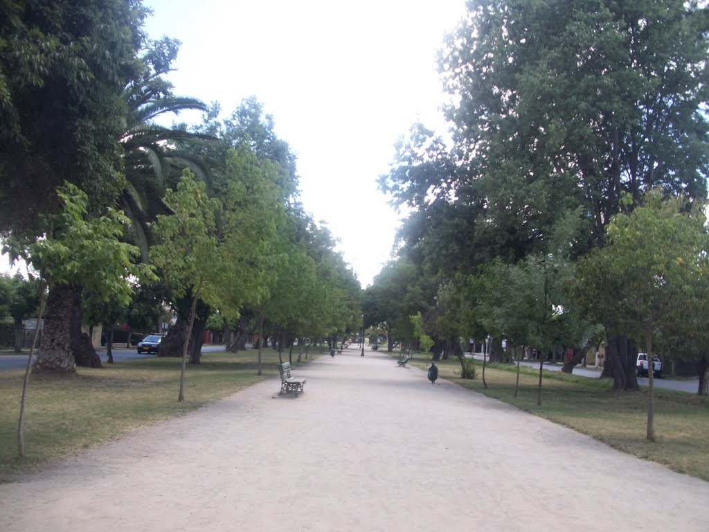 Parque O´Higgins. Buin Santiago by Ignacio Paredes