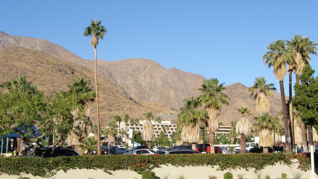 Palm Springs by garya