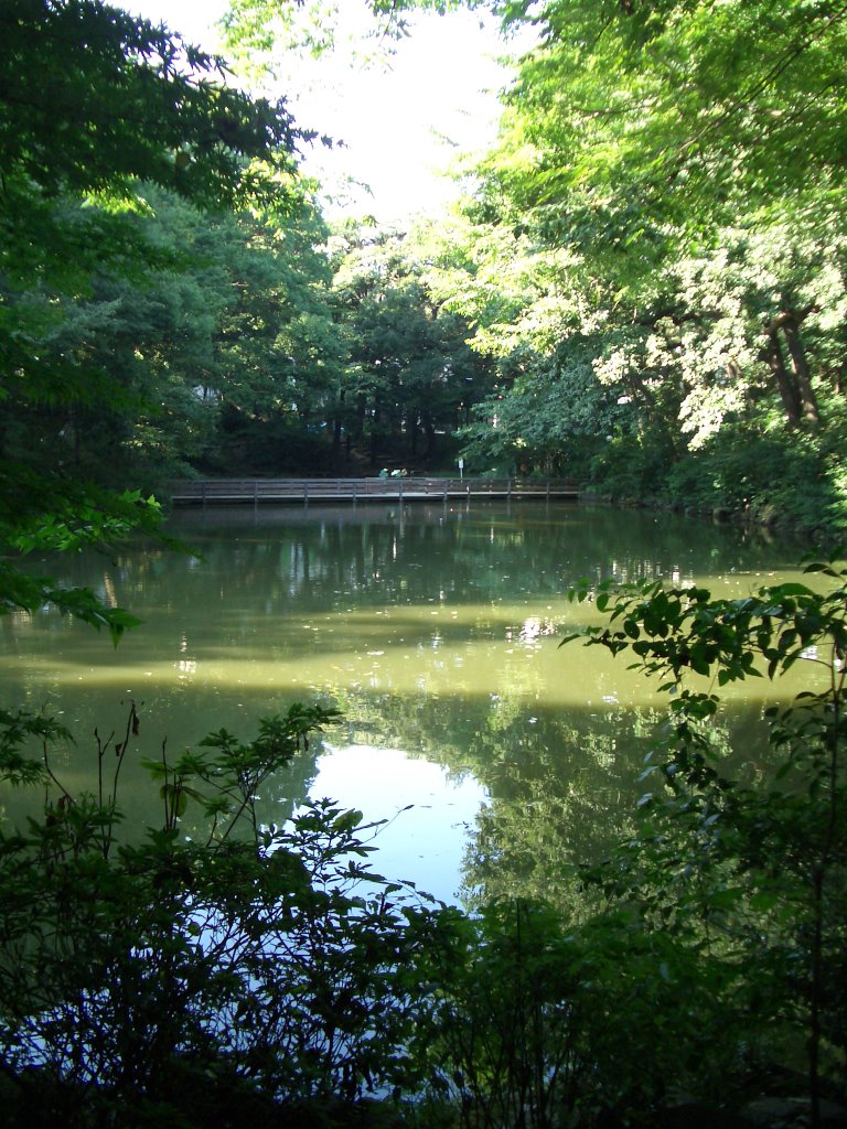 Chiarai-no-ike (血洗の池) in Gakushuin University (学習院大学) by phosphor