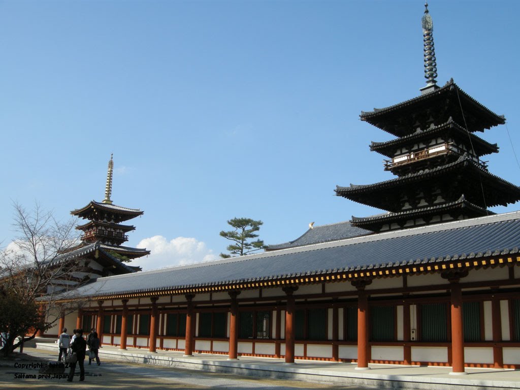 Yakushi-ji temple,Nara city 药师寺（奈良市） 薬師寺（奈良市） by butch24h